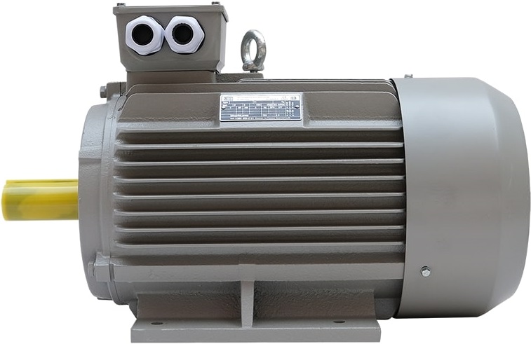 KRAFTER LLS  Электродвигатели SMD  Современные асинхронные двигатели производства SMD Electric - Scandinavian Motors Developer (Швеция) Класс защиты корпуса IP55  Класс защиты корпуса IP55  Класс защиты корпуса IP55 
