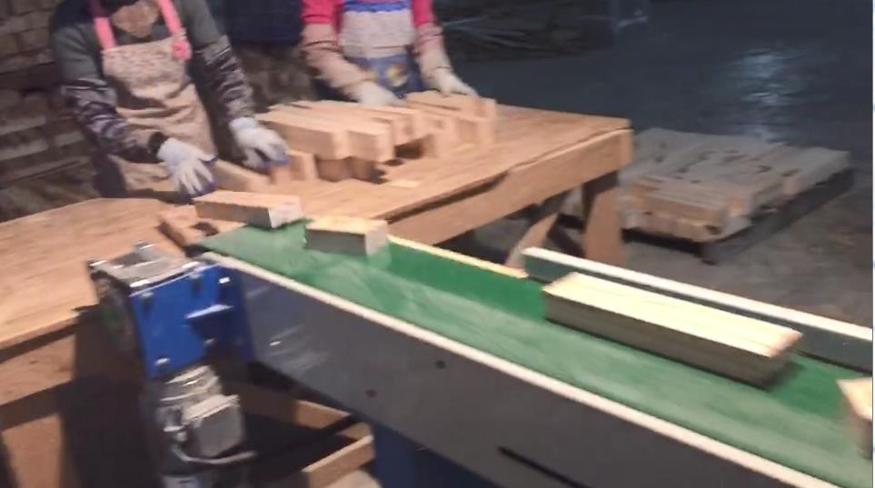 EcoWood CFS-100 Pro  Приемный ленточный транспортер  Оснащен отдельным приводом  Обеспечивает непрерывный отвод продуктов резания и их дальнейшую сортировку 