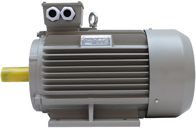 KRAFTER-LLS  Электродвигатели SMD  Современные асинхронные двигатели производства SMD Electric - Scandinavian Motors Developer (Швеция) Класс защиты корпуса IP55  Класс защиты корпуса IP55  Класс защиты корпуса IP55 